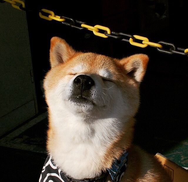 史上最燃的季后赛夜战，哪一场让你振奋？，季后赛战果