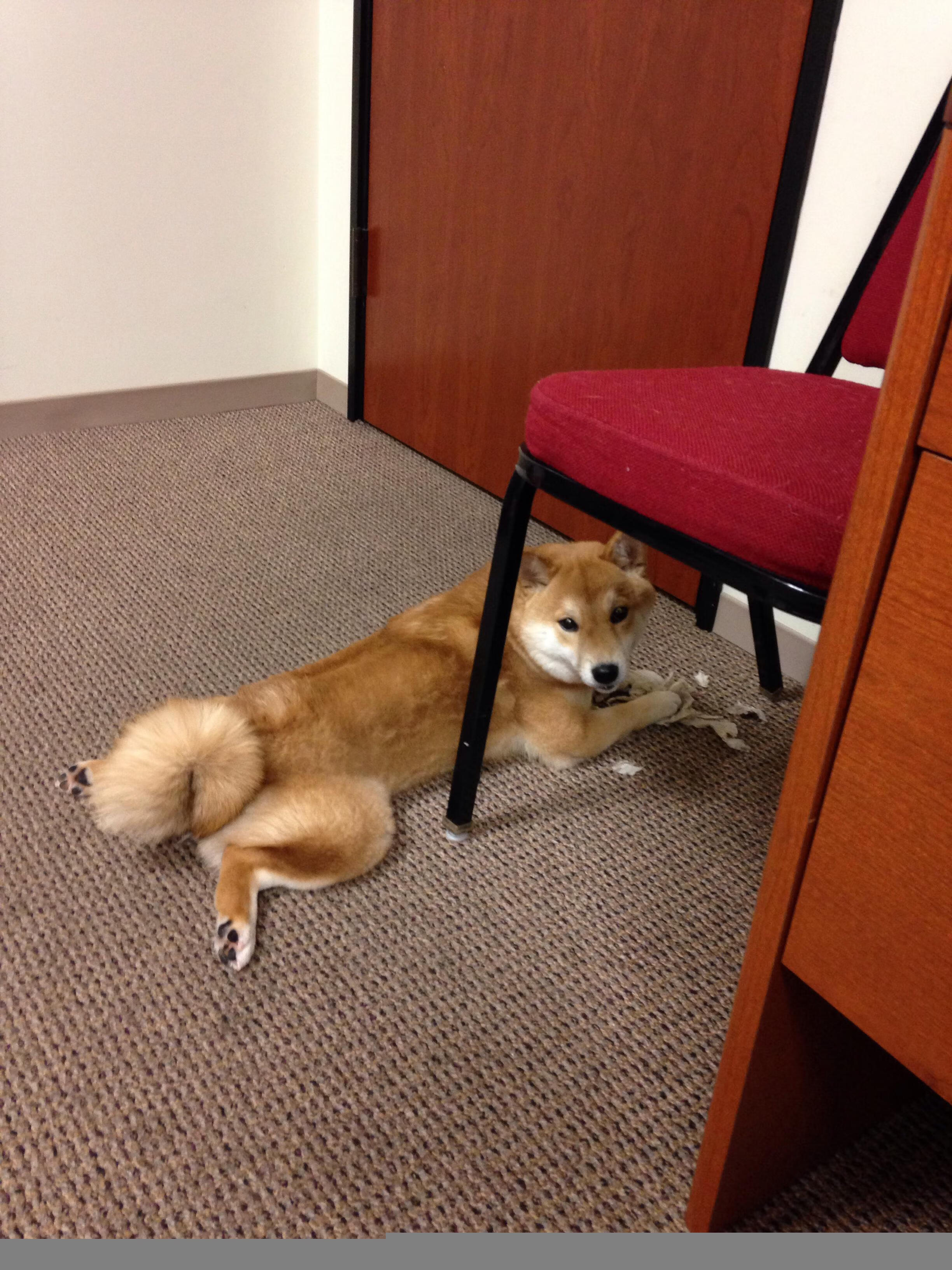 摩洛哥队在巴黎奥运会男足比赛中以0-1不敌法国，摩洛哥足球纯粹